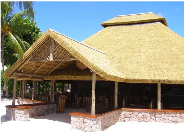 P and T Thatching company logo